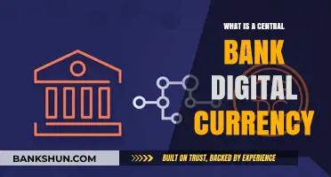 Digital Money: Central Bank's New Currency