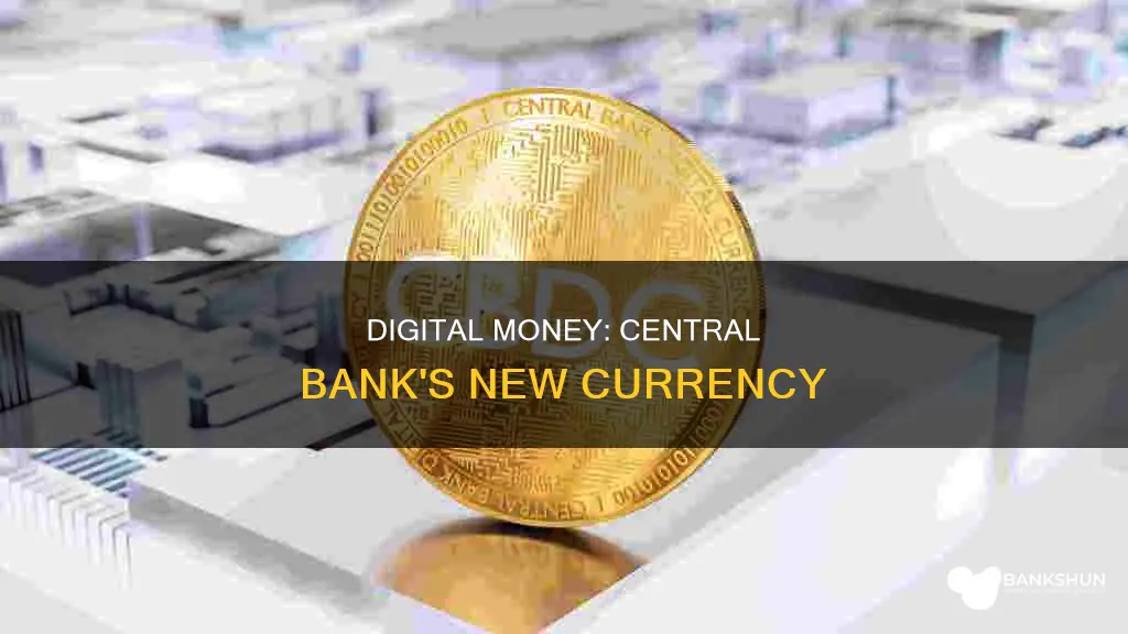 what is a central bank digital currency