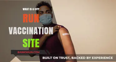 Understanding City-Run Vaccination Sites: Services, Locations, and Benefits