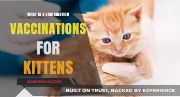 Essential Kitten Combo Vaccines: Protecting Your Feline Friend's Health