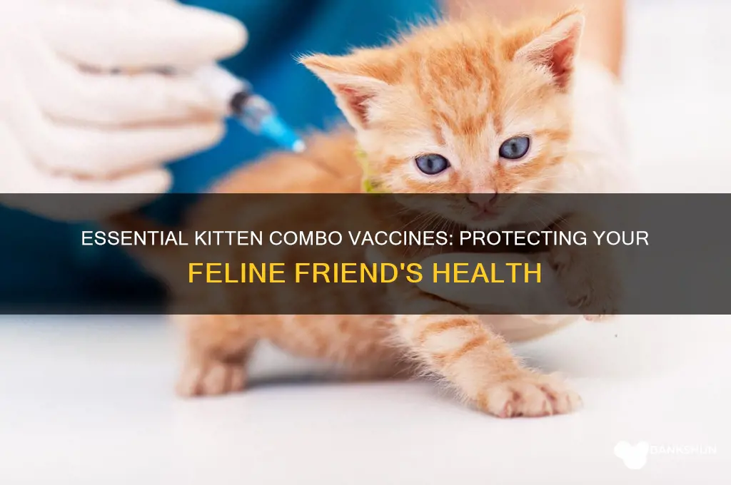 what is a combination vaccinations for kittens