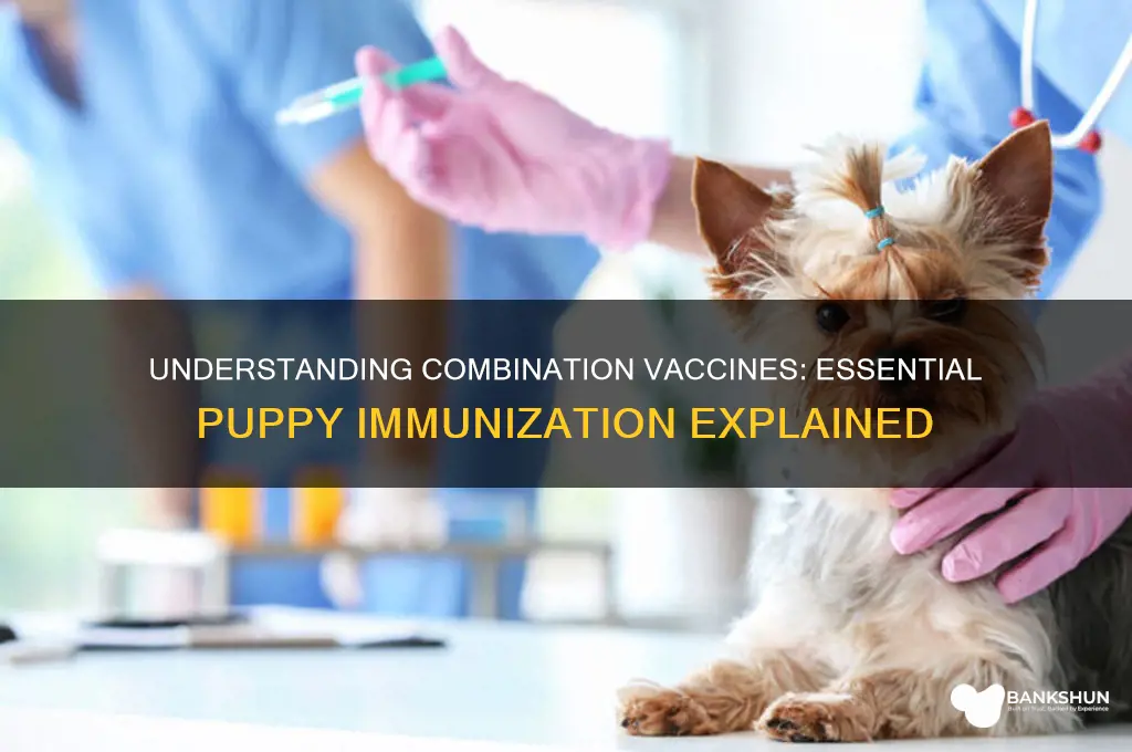 what is a combination vaccine for puppies