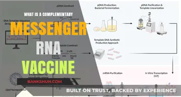 Understanding Complementary mRNA Vaccines: A Revolutionary Immunization Approach