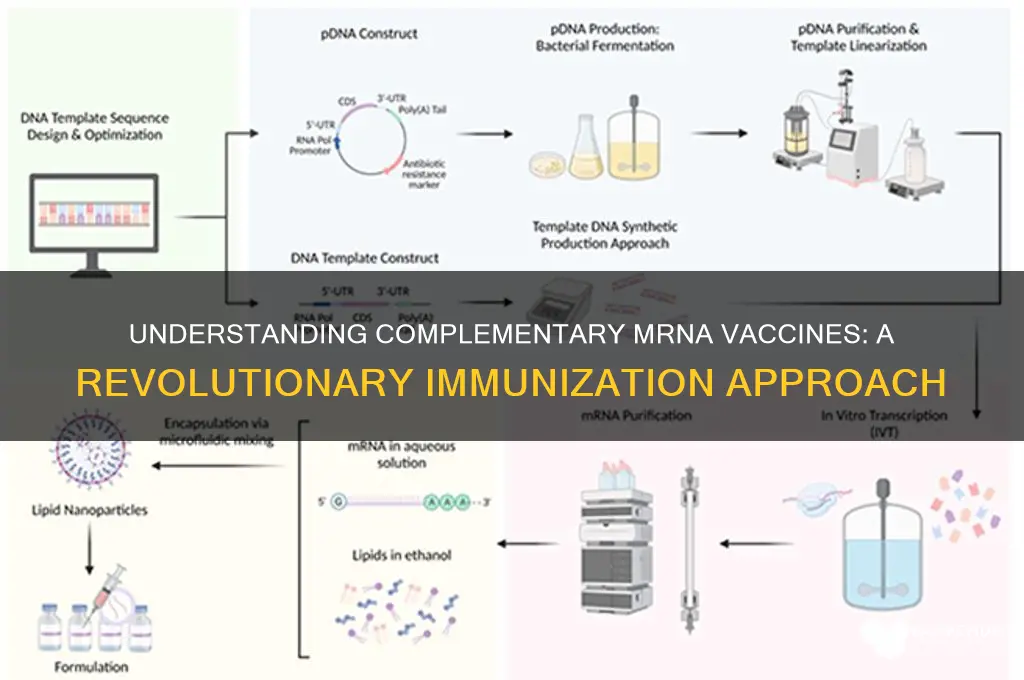 what is a complementary messenger rna vaccine