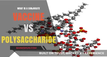 Conjugate vs. Polysaccharide Vaccines: Key Differences and Benefits Explained