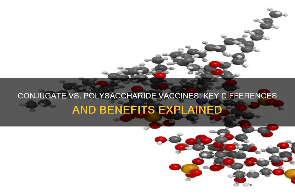what is a conjugate vaccine vs polysaccharide