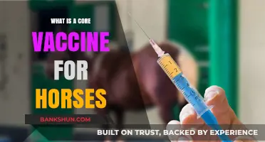 Understanding Core Vaccines: Essential Protection for Your Horse's Health
