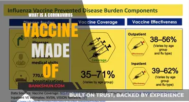 Understanding the Key Components of a Coronavirus Vaccine