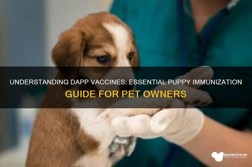 what is a dapp vaccine for puppies