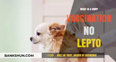 Understanding DHPP Vaccination: Excluding Lepto for Pet Health