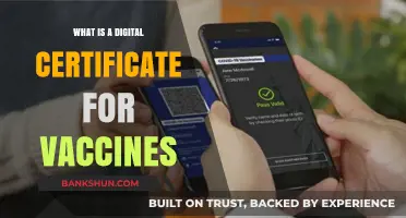 Understanding Digital Vaccine Certificates: Purpose, Benefits, and Global Adoption