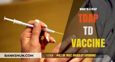 Understanding DTaP, Tdap, and TD Vaccines: Essential Immunizations Explained
