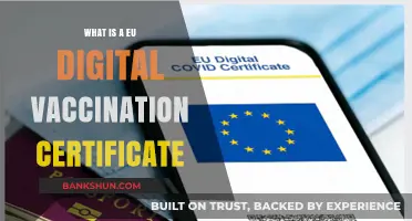 Understanding the EU Digital Vaccination Certificate: Purpose, Benefits, and Usage