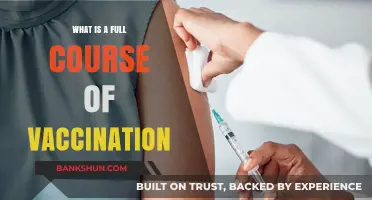 Understanding Full Vaccination Courses: Essential Steps for Complete Immunity