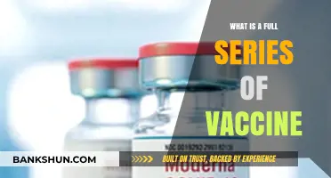 Understanding Full Vaccine Series: Essential Steps for Complete Immunization