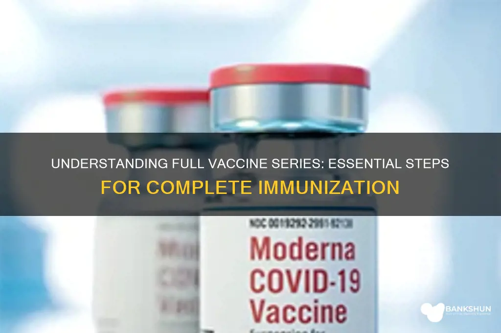 what is a full series of vaccine