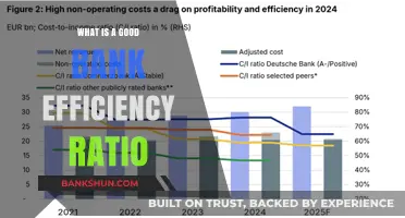 Understanding Bank Efficiency Ratios: Key Performance Indicator