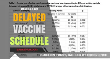 Safe Delayed Vaccine Schedule: Balancing Health and Personalized Timing