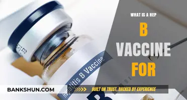 Understanding Hepatitis B: The Purpose and Benefits of the Vaccine