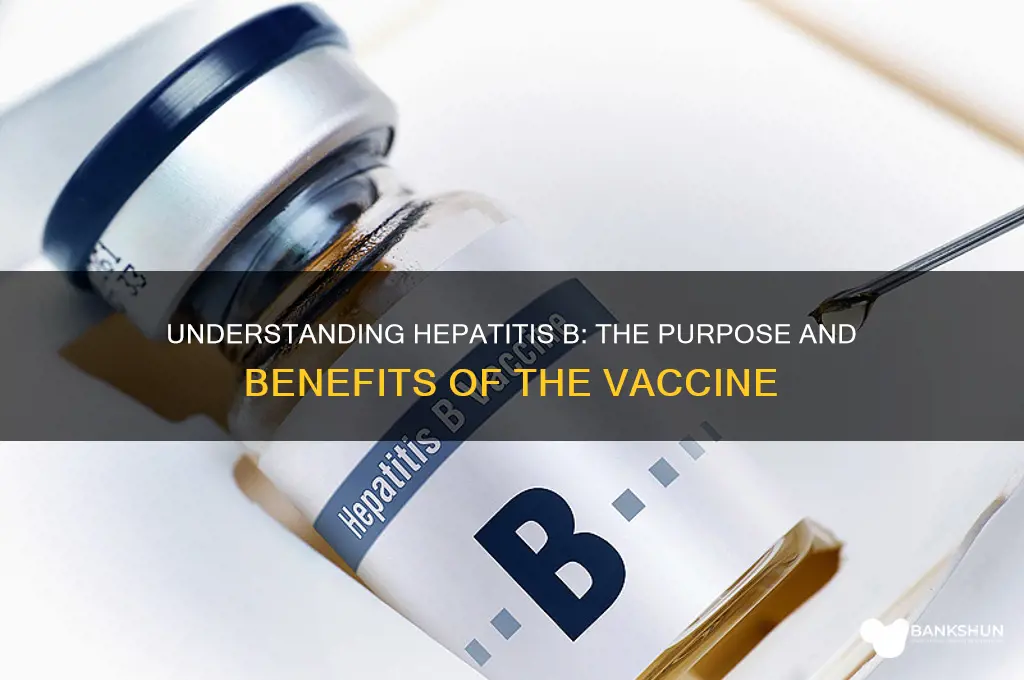 what is a hep b vaccine for