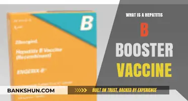 Understanding the Hepatitis B Booster Vaccine: Importance and Timing
