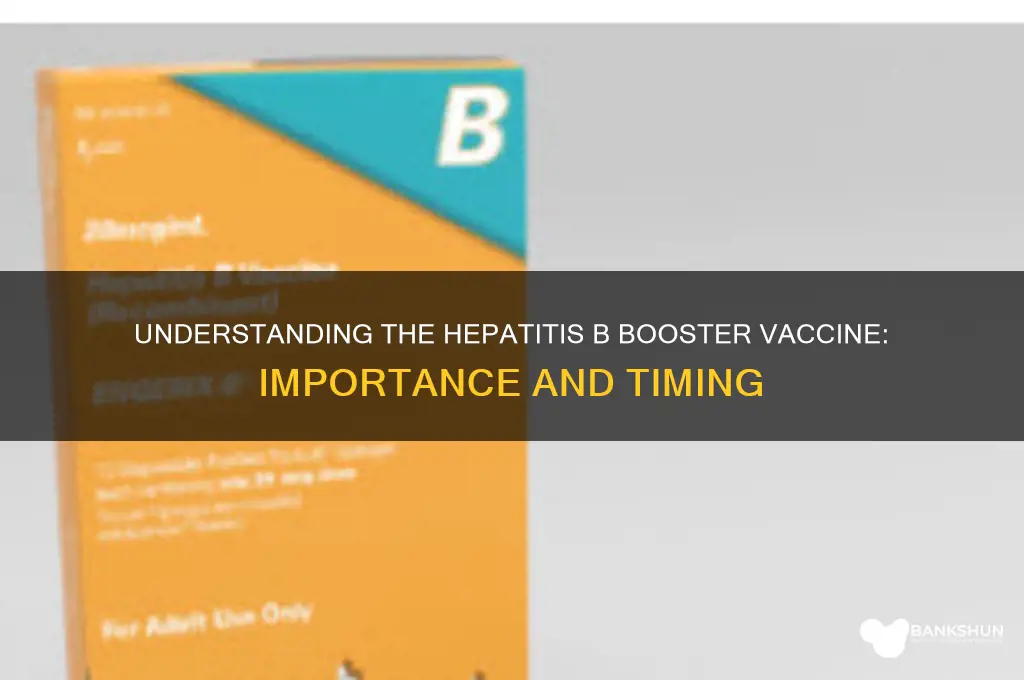 what is a hepatitis b booster vaccine