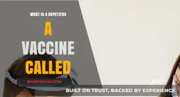 Understanding Hepatitis A: The Vaccine's Official Name Explained