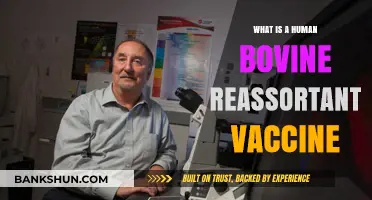 Understanding Human Bovine Reassortant Vaccines: Benefits, Uses, and Safety Explained