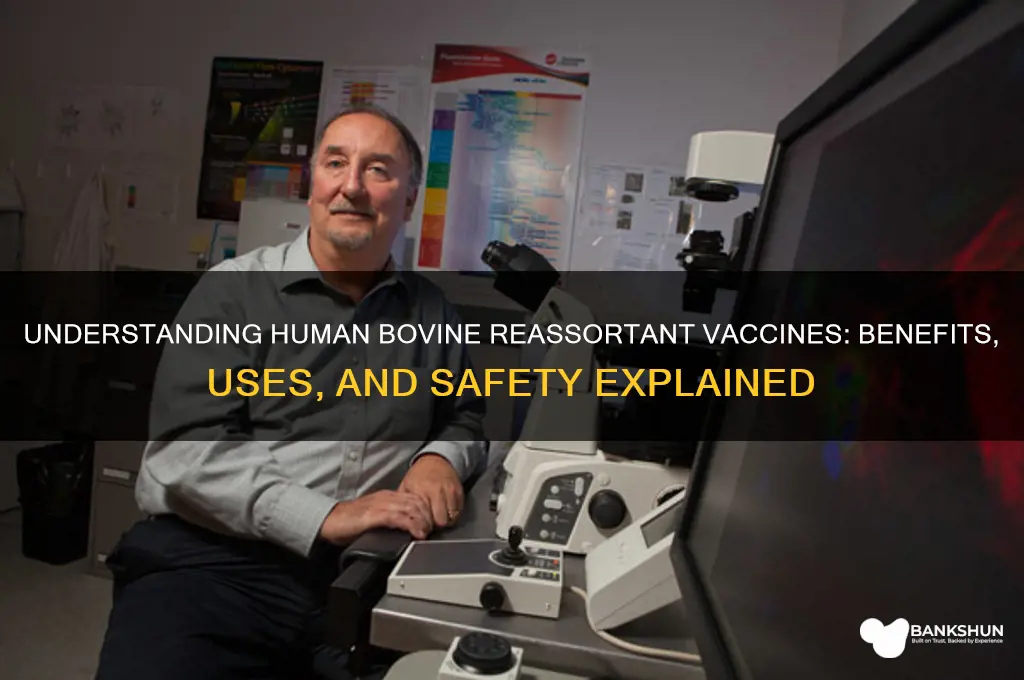 what is a human bovine reassortant vaccine