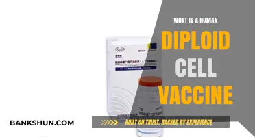 Understanding Human Diploid Cell Vaccines: Benefits, Uses, and Safety Explained