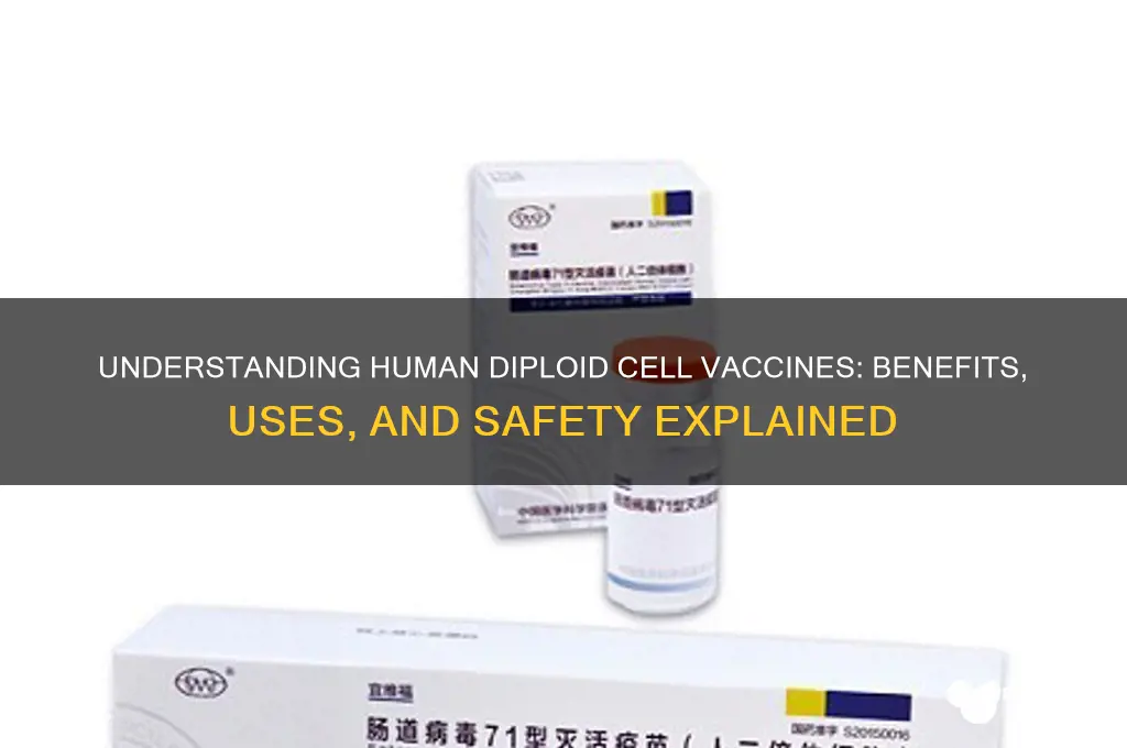 what is a human diploid cell vaccine