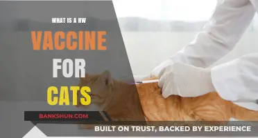 Understanding the HW Vaccine: Essential Protection for Your Feline Friend