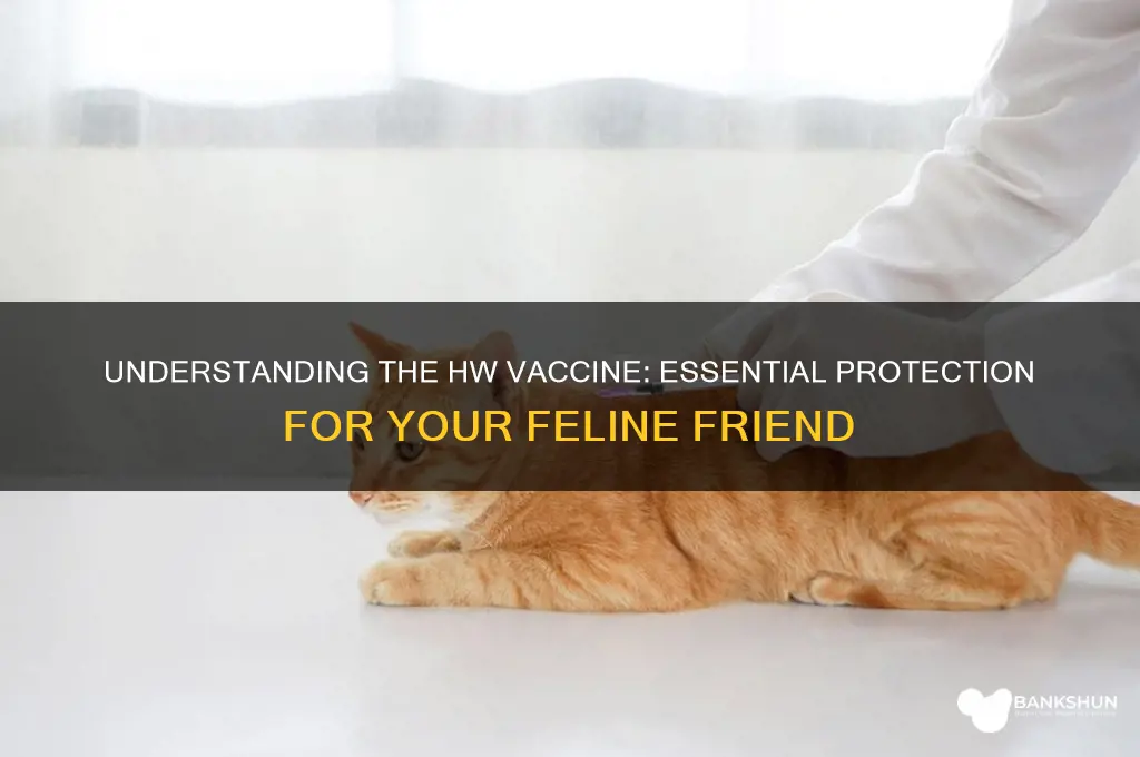what is a hw vaccine for cats