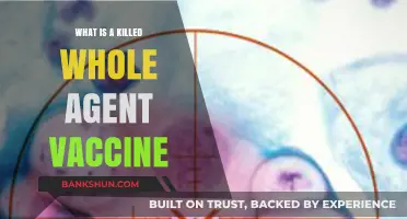 Understanding Killed Whole Agent Vaccines: Benefits, Risks, and Applications