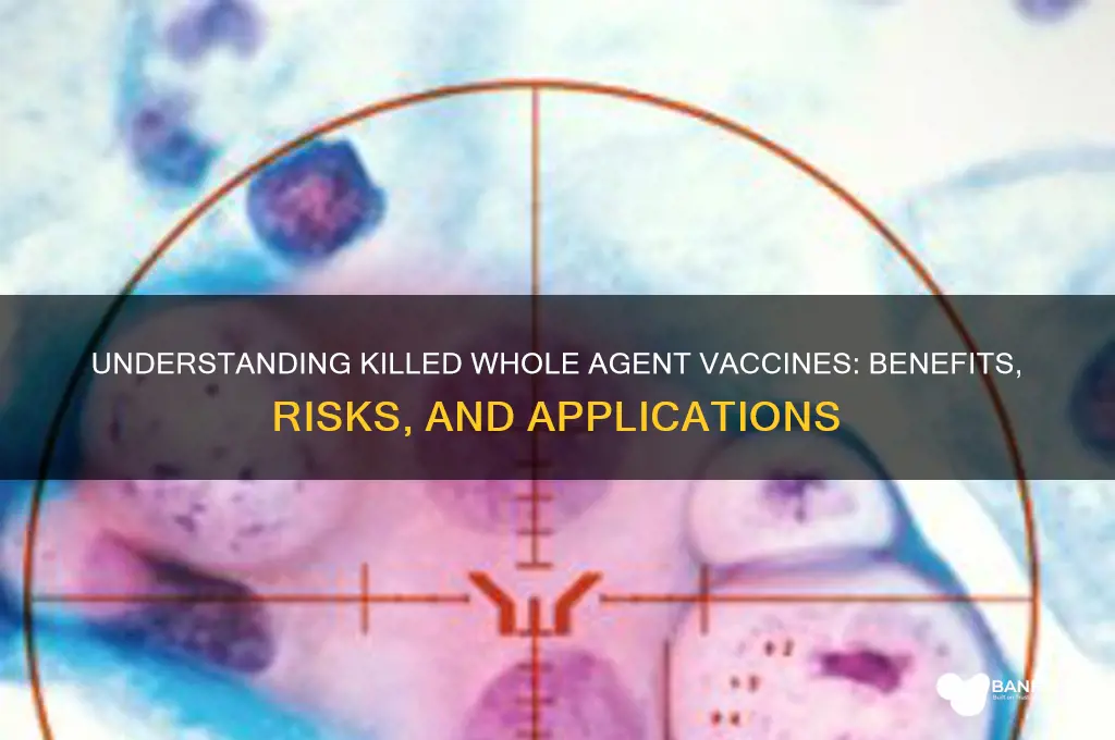 what is a killed whole agent vaccine