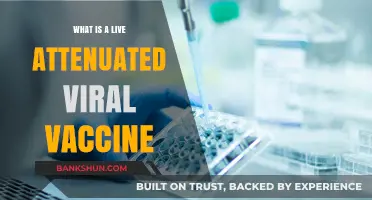 Understanding Live Attenuated Viral Vaccines: Mechanism, Benefits, and Applications