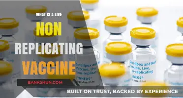 Understanding Live Non-Replicating Vaccines: Benefits, Safety, and Applications