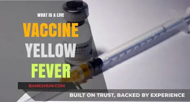 Understanding Live Yellow Fever Vaccine: Benefits, Risks, and Importance