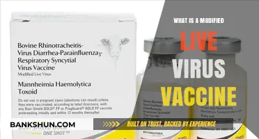 Understanding Modified Live Virus Vaccines: Benefits, Risks, and Applications