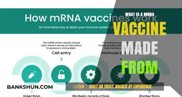 Understanding mRNA Vaccines: Key Components and Their Origins Explained
