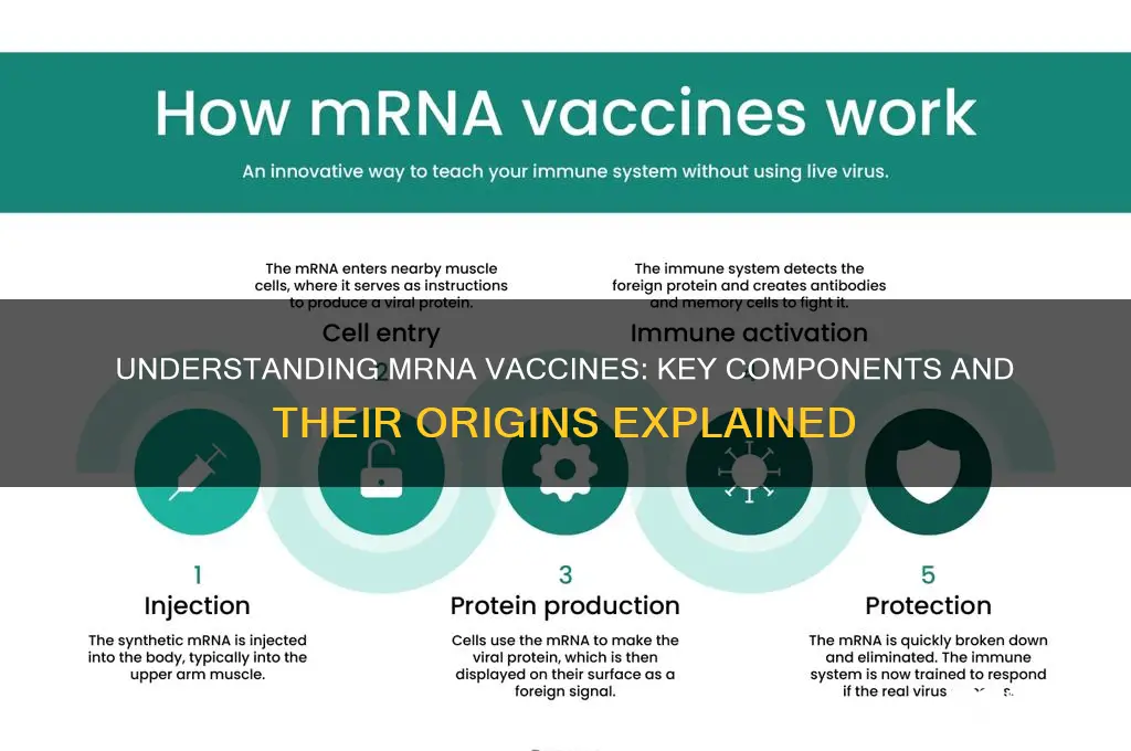 what is a mrna vaccine made from