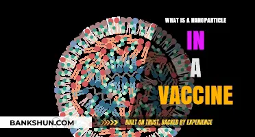 Understanding Nanoparticles: Tiny Vaccine Components with Big Impact