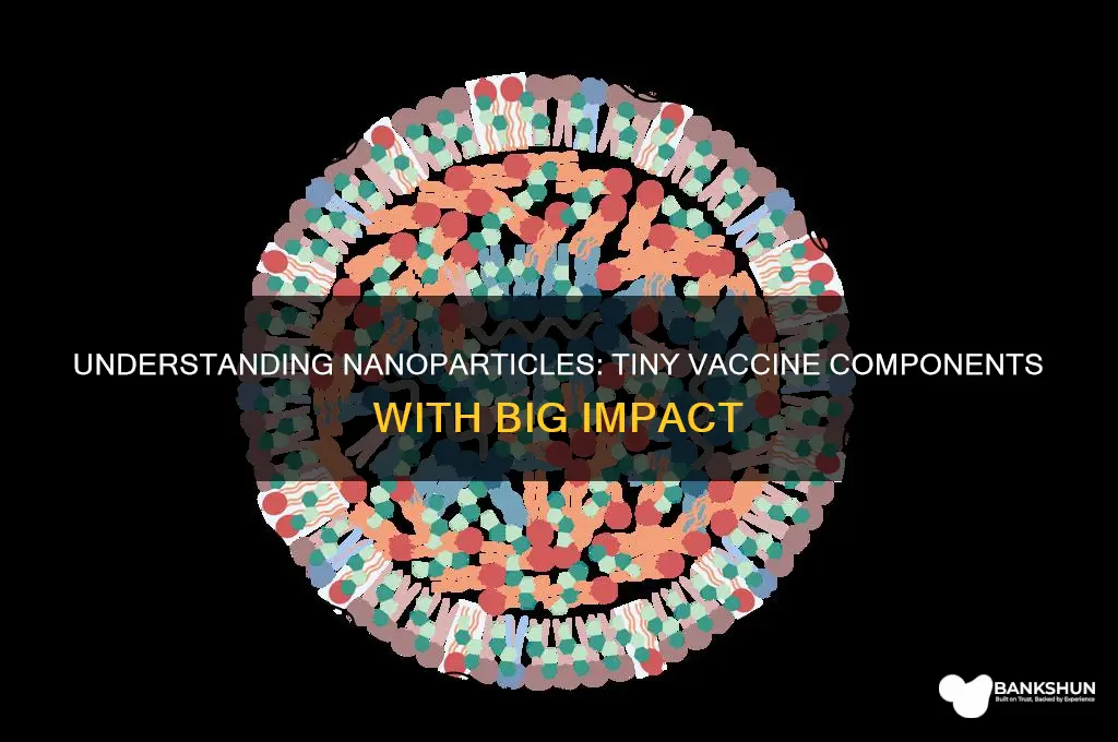 what is a nanoparticle in a vaccine