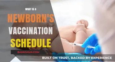 Newborn Vaccination Schedule: Essential Immunizations for Your Baby's Health
