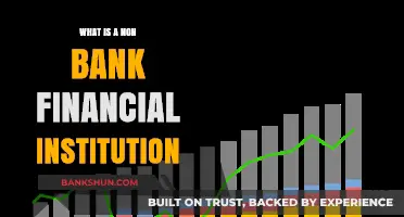 Non-Bank Financial Institutions: What Are They?