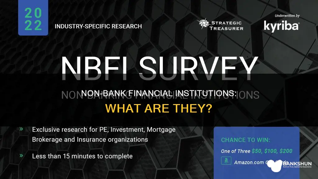 what is a non bank financial institution