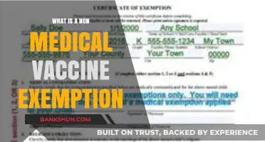 Understanding Non-Medical Vaccine Exemptions: Rights, Risks, and Responsibilities