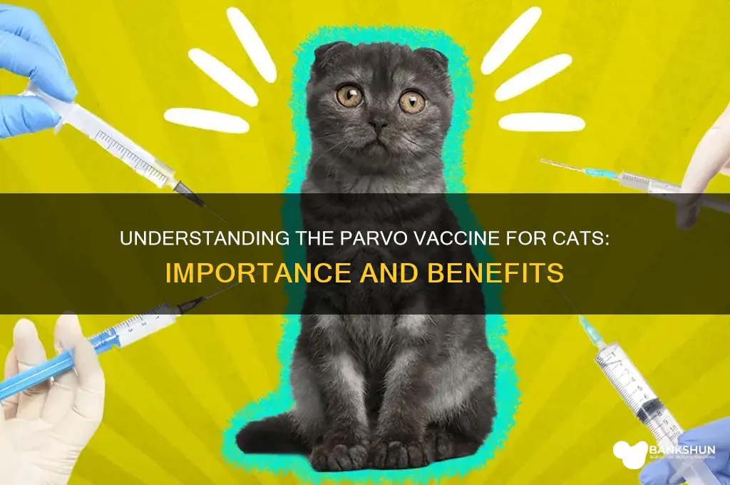 what is a parvo vaccine for cats