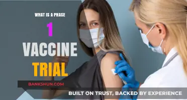 Understanding Phase 1 Vaccine Trials: Early Testing and Safety Explained