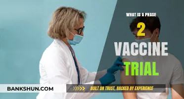 Understanding Phase 2 Vaccine Trials: Key Steps and Significance